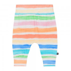 Molo Sammy Pants Jeans Jungen Multi Colours | CH0001332