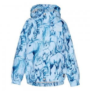 Molo Waiton Regenkleidung Sky Blue Horses | CH0000070