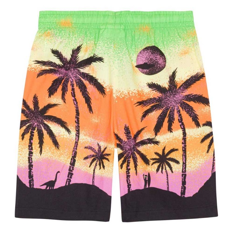 Molo Adi Shorts Jungen Alien Island | CH0000688