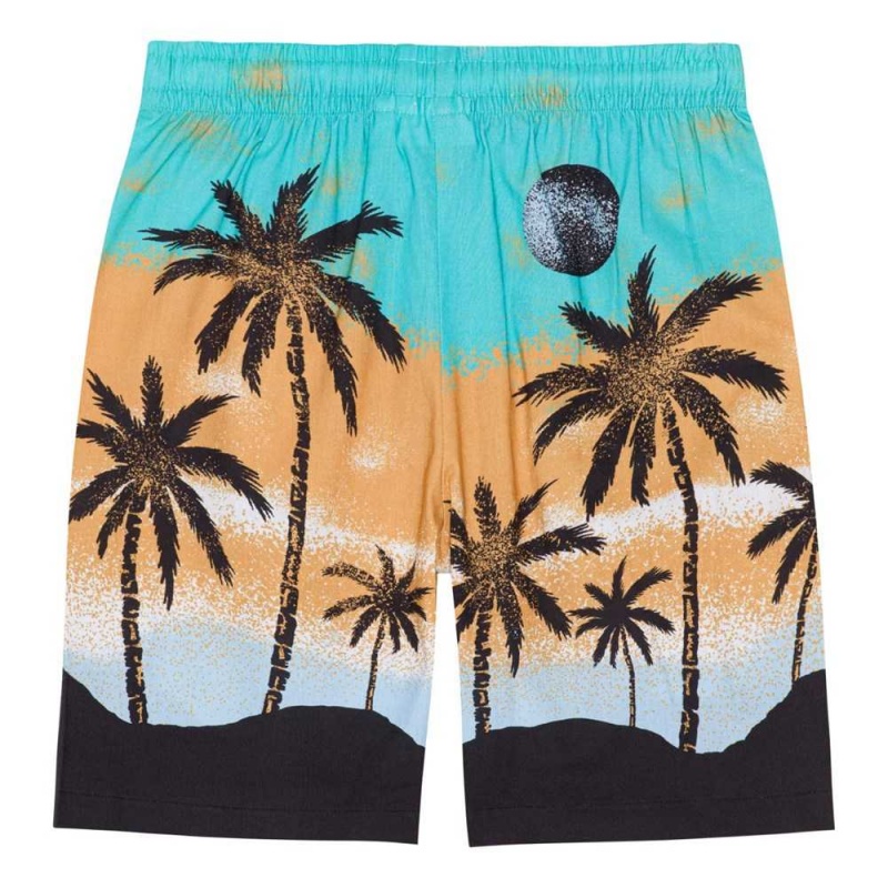 Molo Adi Shorts Jungen Holiday Island | CH0000690