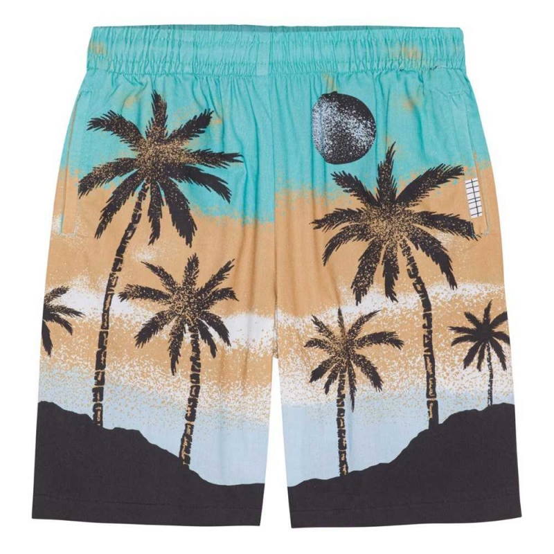 Molo Adi Shorts Jungen Holiday Island | CH0000690