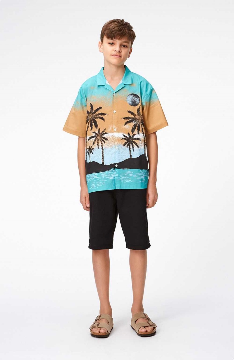 Molo Alan Shorts Jungen Black | CH0000706