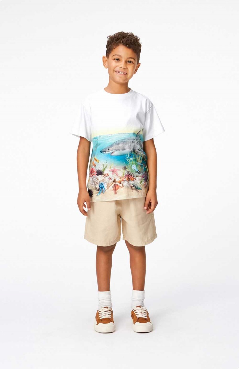 Molo Amal Shorts Jungen Sandy | CH0000710