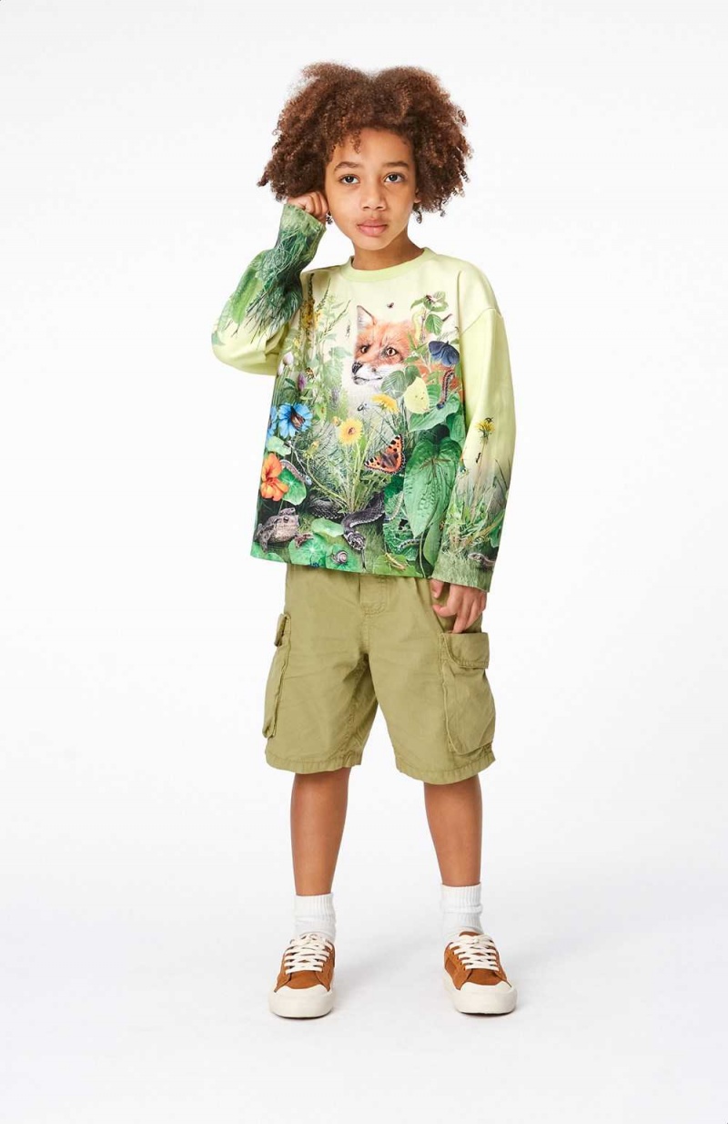 Molo Argod Shorts Jungen Sage | CH0000724