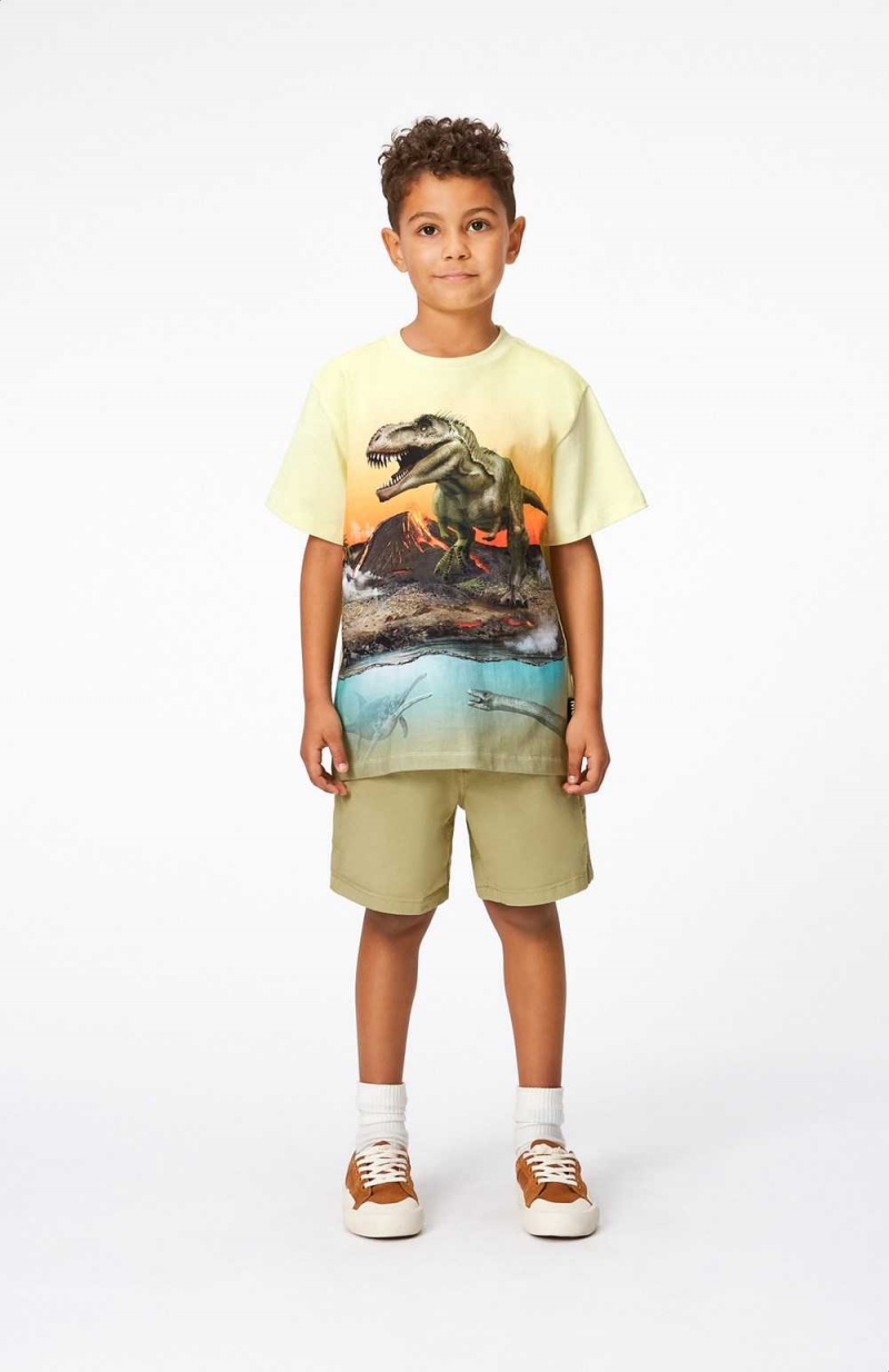 Molo Ashby Shorts Jungen Sage | CH0000712