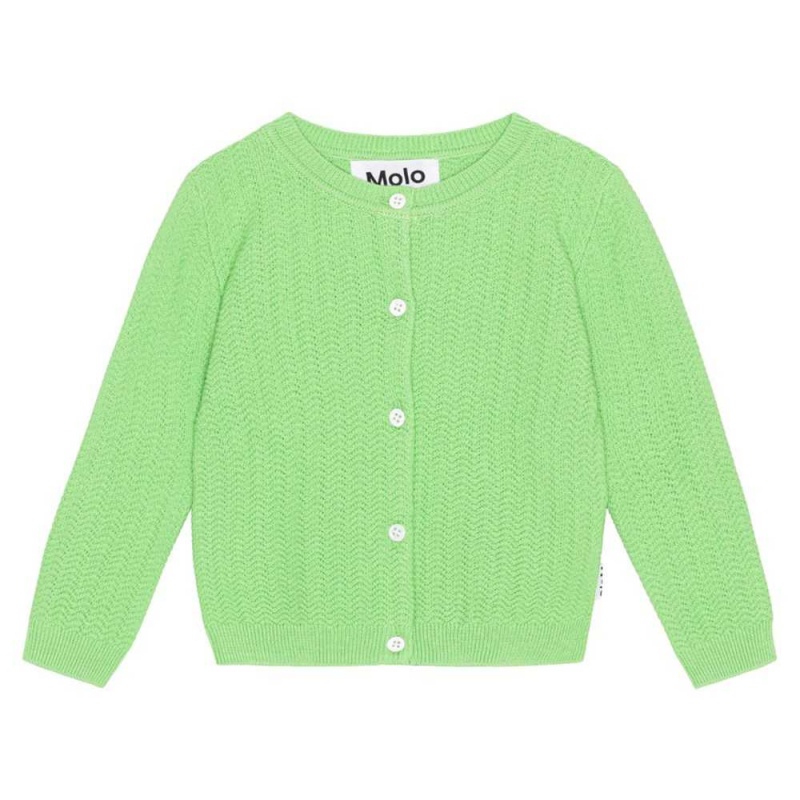 Molo Blake Sweatshirts Cardigans Jungen Grass Green | CH0001319