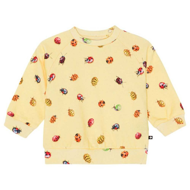 Molo Disc Sweatshirts Cardigans Jungen Coccinella | CH0001395