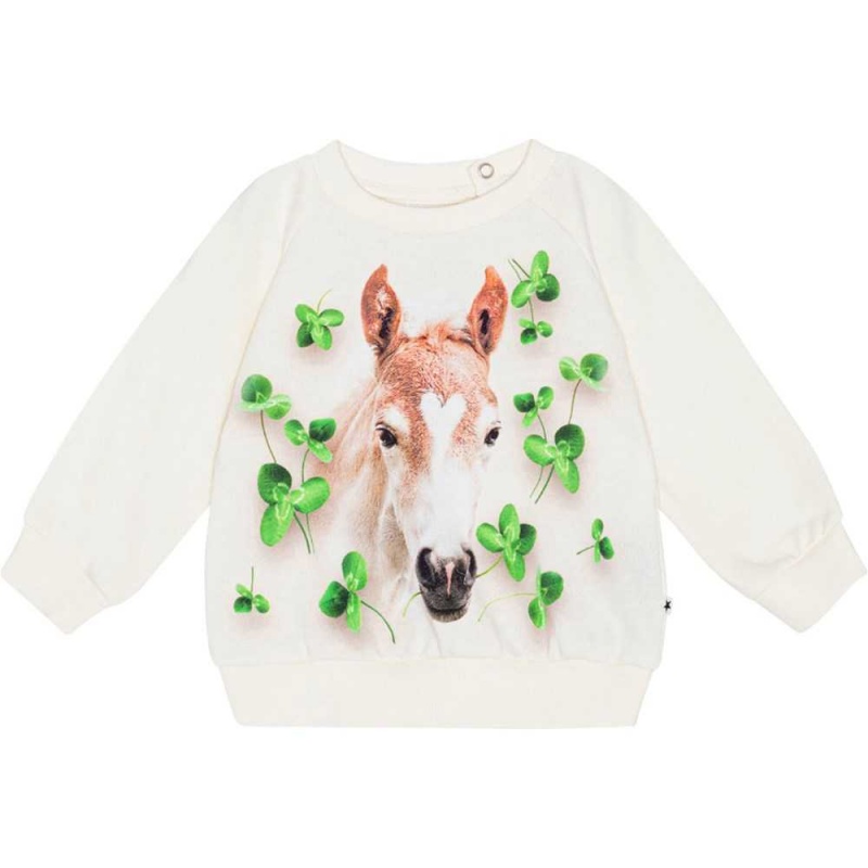 Molo Disc Sweatshirts Cardigans Mädchen Clover Foal | CH0001406