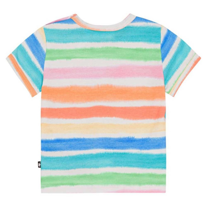 Molo Easy T Shirts Tops Jungen Multi Colours | CH0001410