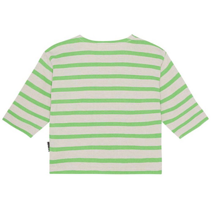 Molo Edarko T Shirts Tops Jungen Grass Stripe | CH0001422