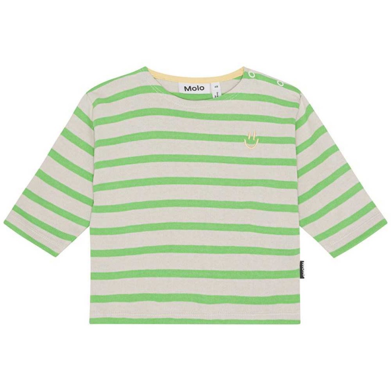 Molo Edarko T Shirts Tops Jungen Grass Stripe | CH0001422