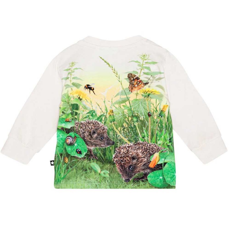 Molo Eloy T Shirts Tops Jungen Living Garden | CH0001417