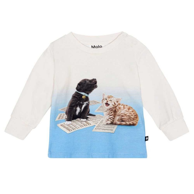 Molo Eloy T Shirts Tops Jungen Love Music LS | CH0001414