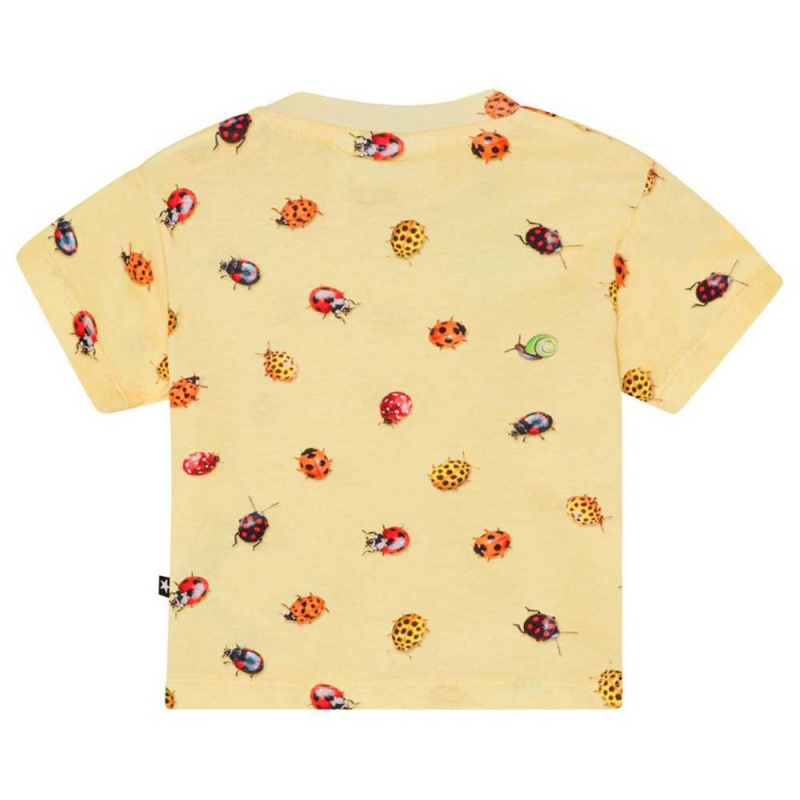 Molo Enzo T Shirts Tops Jungen Coccinella | CH0001411