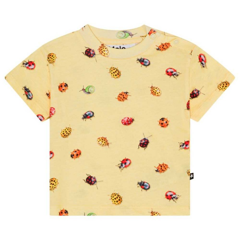 Molo Enzo T Shirts Tops Jungen Coccinella | CH0001411