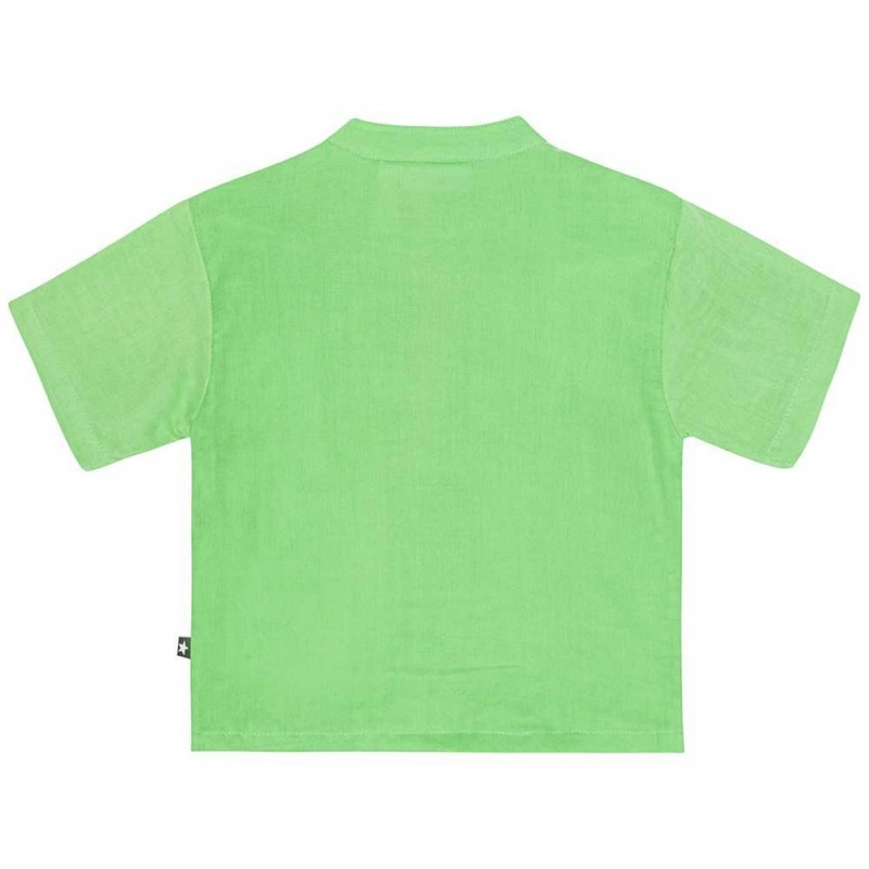 Molo Ever T Shirts Tops Jungen Grass Green | CH0001419