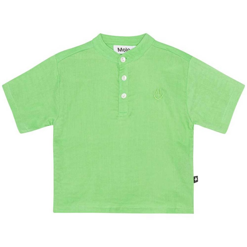 Molo Ever T Shirts Tops Jungen Grass Green | CH0001419