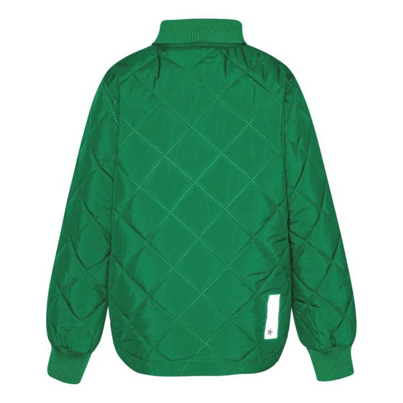 Molo Hallow Fleece Softshell Vivid Green | CH0000146