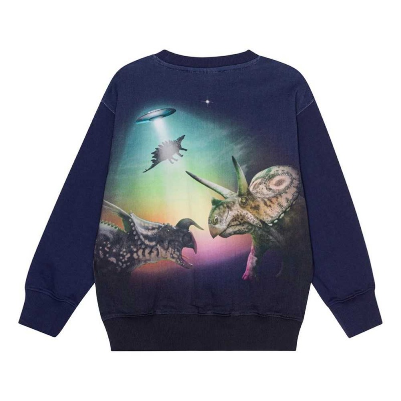 Molo Mattis Sweatshirts Cardigans Jungen Beam Up Dinos | CH0000755