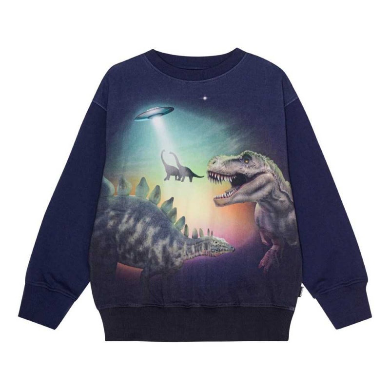 Molo Mattis Sweatshirts Cardigans Jungen Beam Up Dinos | CH0000755