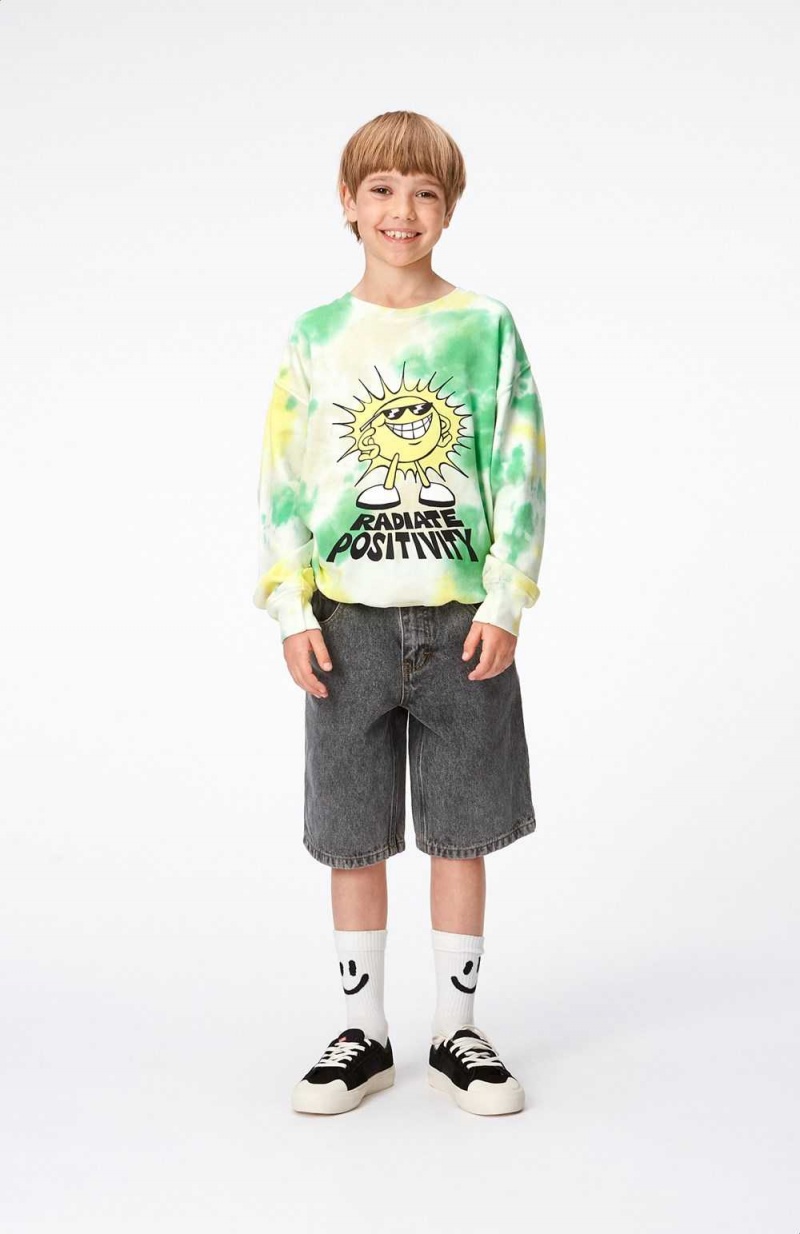 Molo Memphis Sweatshirts Cardigans Jungen Garden Dye | CH0000749