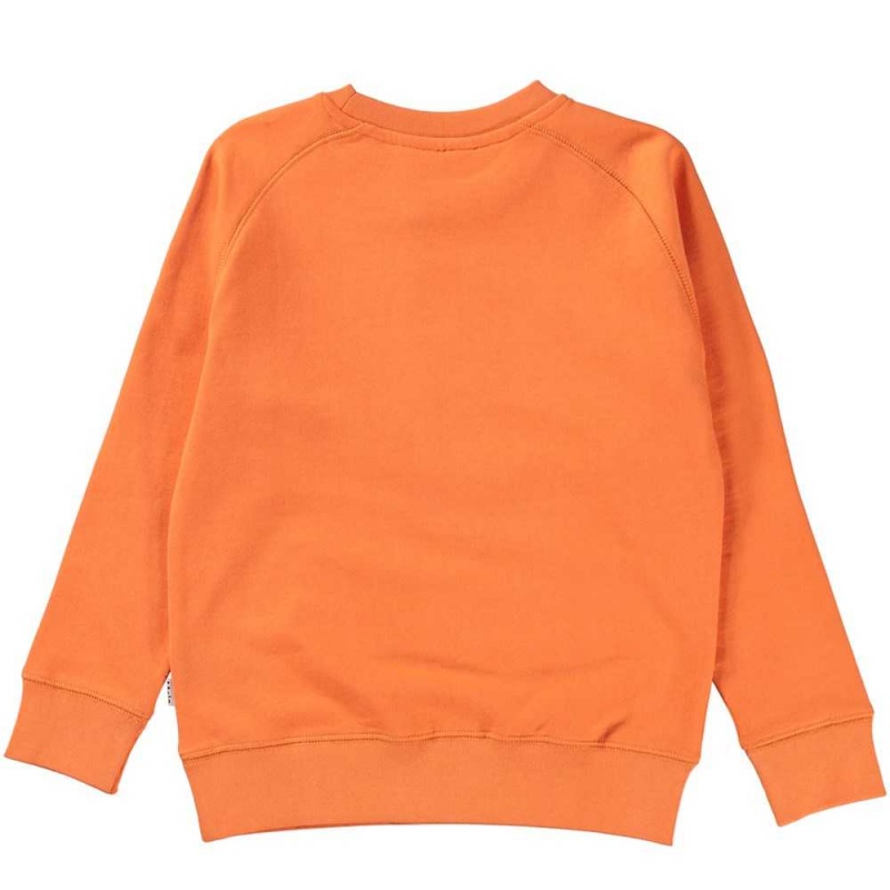 Molo Mike Sweatshirts Cardigans Jungen Ember | CH0000742