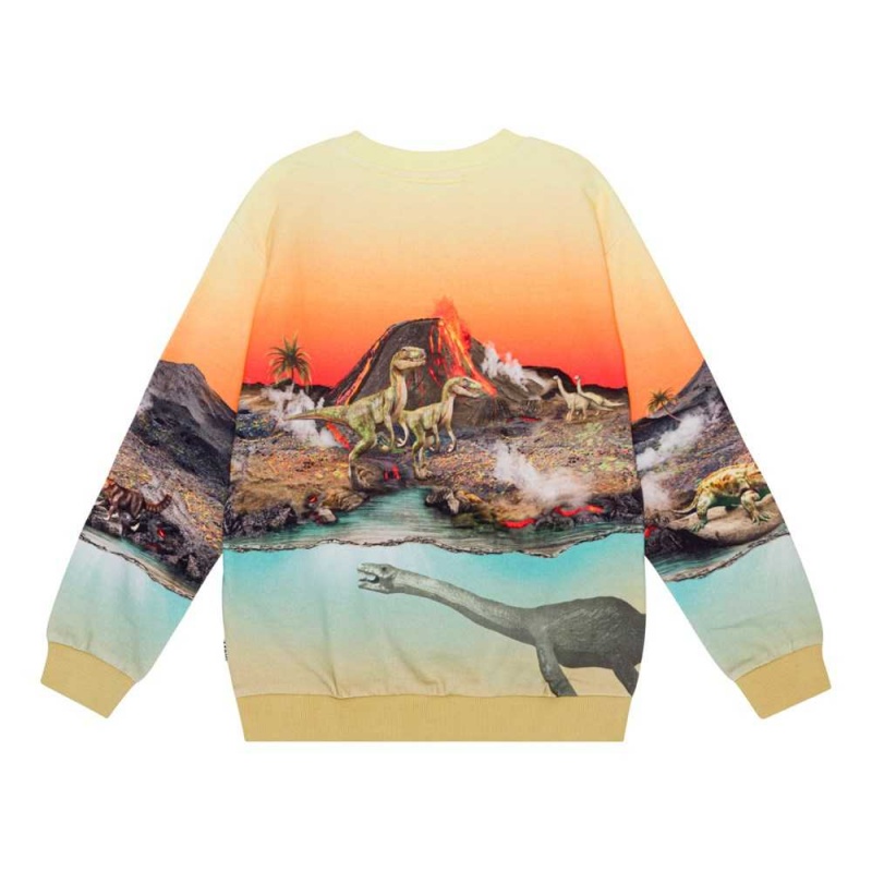 Molo Miksi Sweatshirts Cardigans Jungen Volcano Dinos | CH0000743