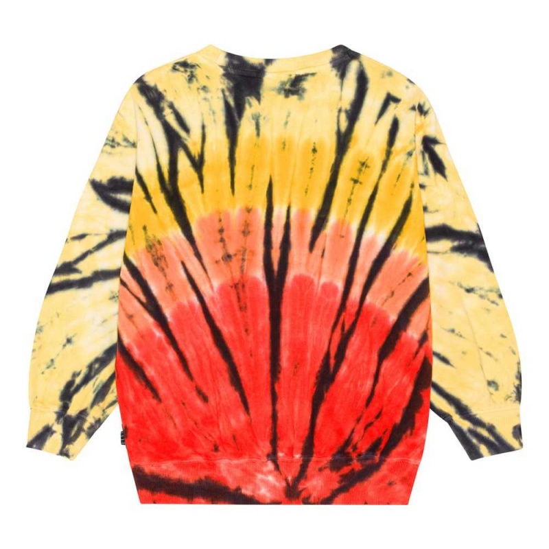 Molo Monti Sweatshirts Cardigans Jungen Fire Dye | CH0000766