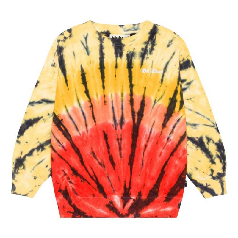 Molo Monti Sweatshirts Cardigans Jungen Fire Dye | CH0000766