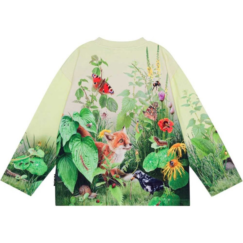 Molo Mountoo Sweatshirts Cardigans Jungen Wild Garden | CH0000754