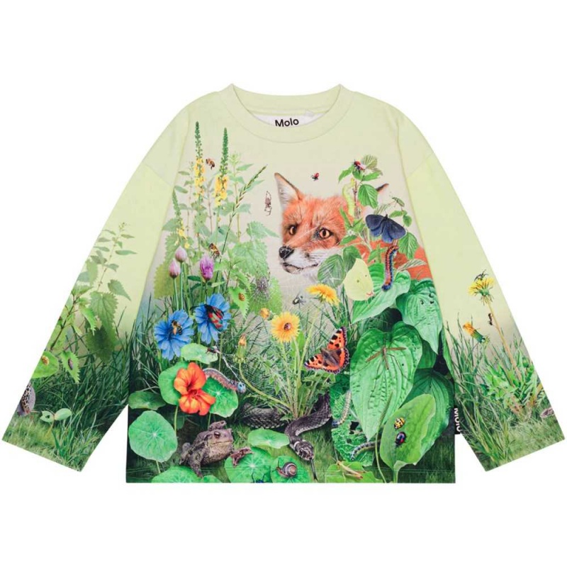 Molo Mountoo Sweatshirts Cardigans Jungen Wild Garden | CH0000754