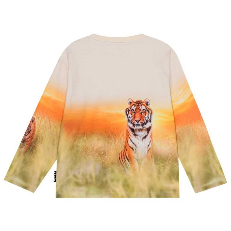 Molo Mountoo Sweatshirts Cardigans Jungen Sunrise Tiger | CH0000767