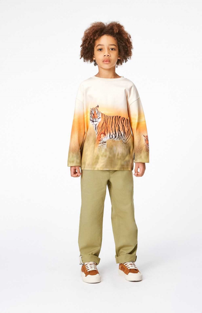 Molo Mountoo Sweatshirts Cardigans Jungen Sunrise Tiger | CH0000767