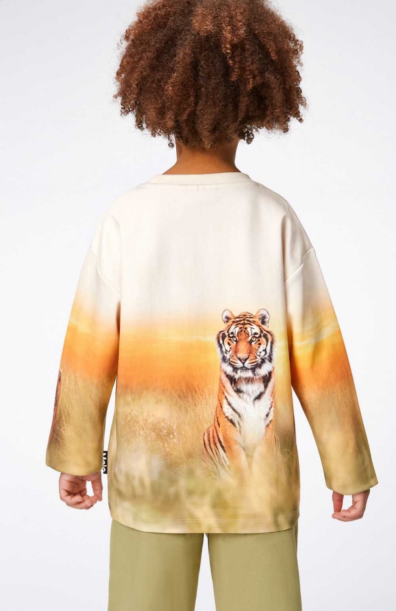 Molo Mountoo Sweatshirts Cardigans Jungen Sunrise Tiger | CH0000767