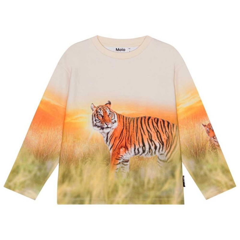 Molo Mountoo Sweatshirts Cardigans Jungen Sunrise Tiger | CH0000767