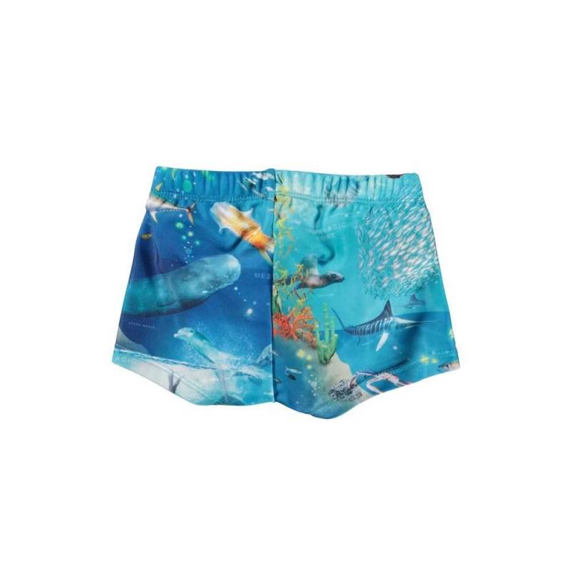 Molo Nansen Badeshorts Ocean Zones | CH0001138