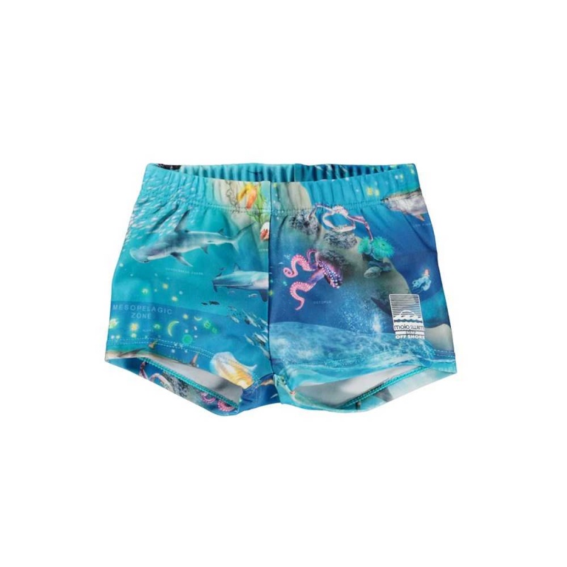 Molo Nansen Badeshorts Ocean Zones | CH0001138