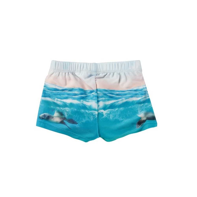 Molo Nansen Badeshorts Sealion | CH0001115