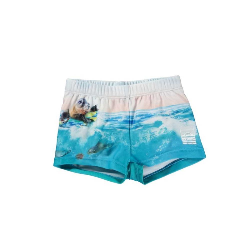 Molo Nansen Badeshorts Sealion | CH0001115