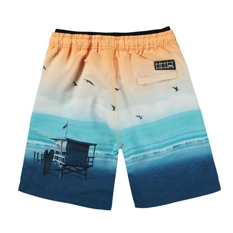 Molo Neal Badeshorts Sunset Beach | CH0001147