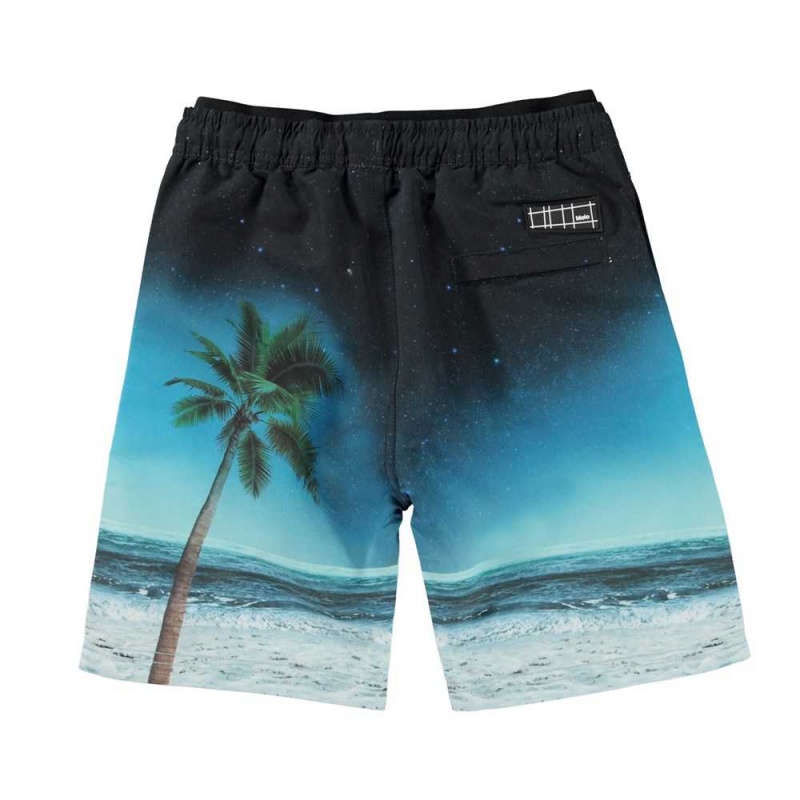 Molo Neal Badeshorts Sunset Surfer | CH0001124