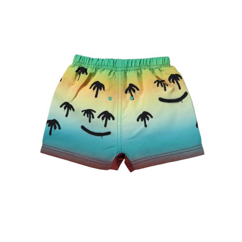 Molo Newton Badeshorts Palm Spray | CH0001118