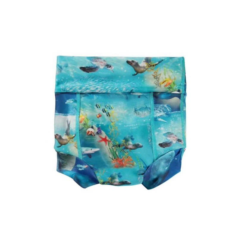 Molo Nick Badeshorts Ocean Zones | CH0001135