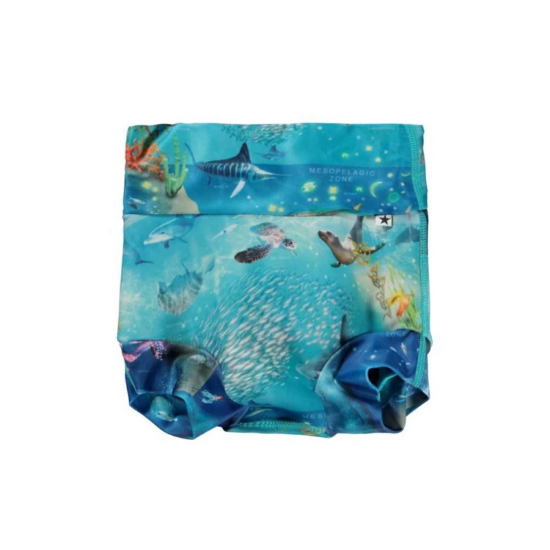 Molo Nick Badeshorts Ocean Zones | CH0001135