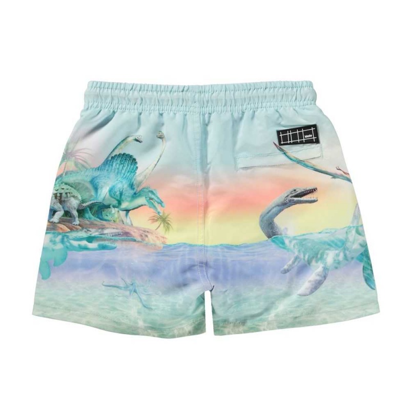 Molo Niko Badeshorts Ancient Island | CH0001134