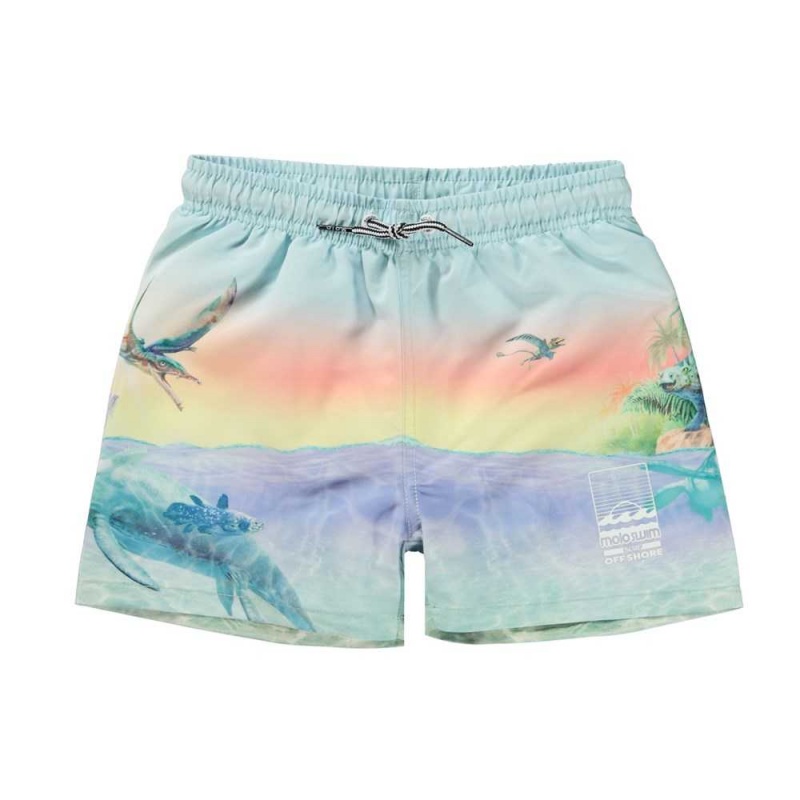 Molo Niko Badeshorts Ancient Island | CH0001134