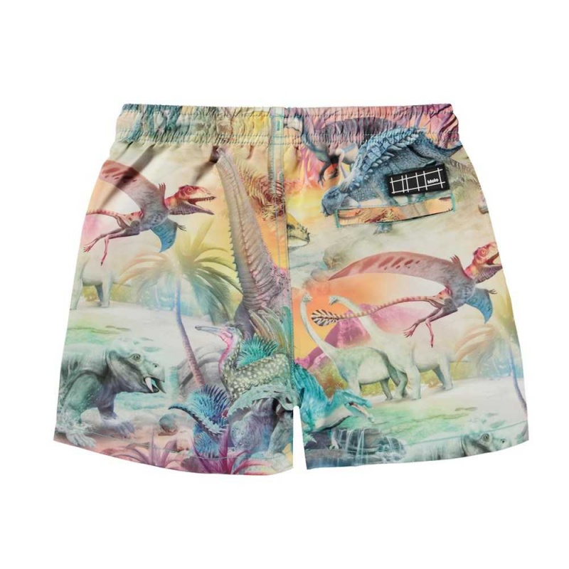 Molo Niko Badeshorts Dino Paradis | CH0001132