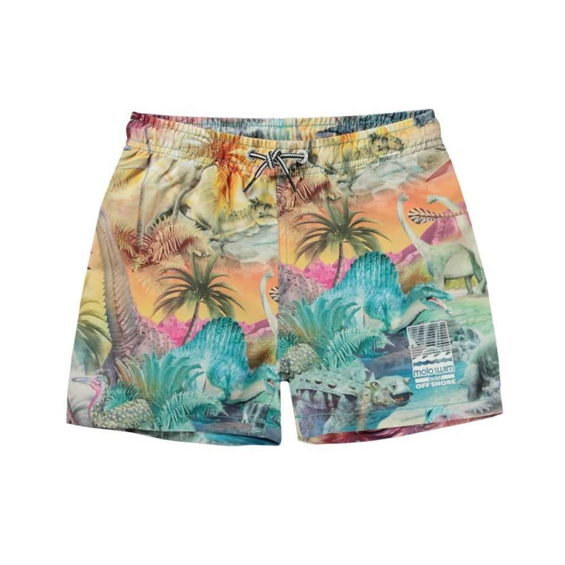 Molo Niko Badeshorts Dino Paradis | CH0001132