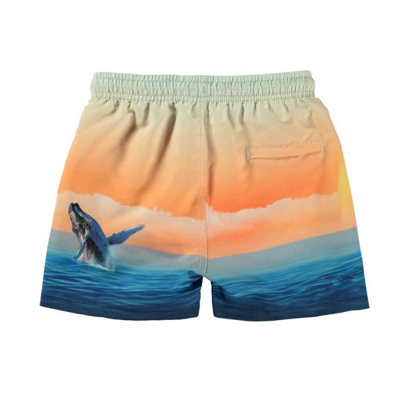 Molo Niko Badeshorts Ocean Smile | CH0001143