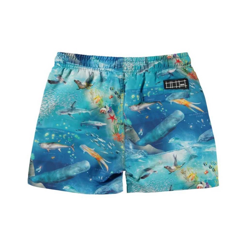 Molo Niko Badeshorts Ocean Zones | CH0001137